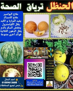 82. زيت الحنظل