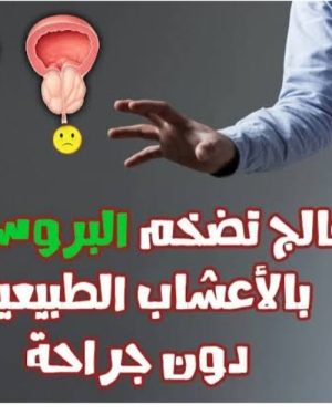 08. البروستاتا