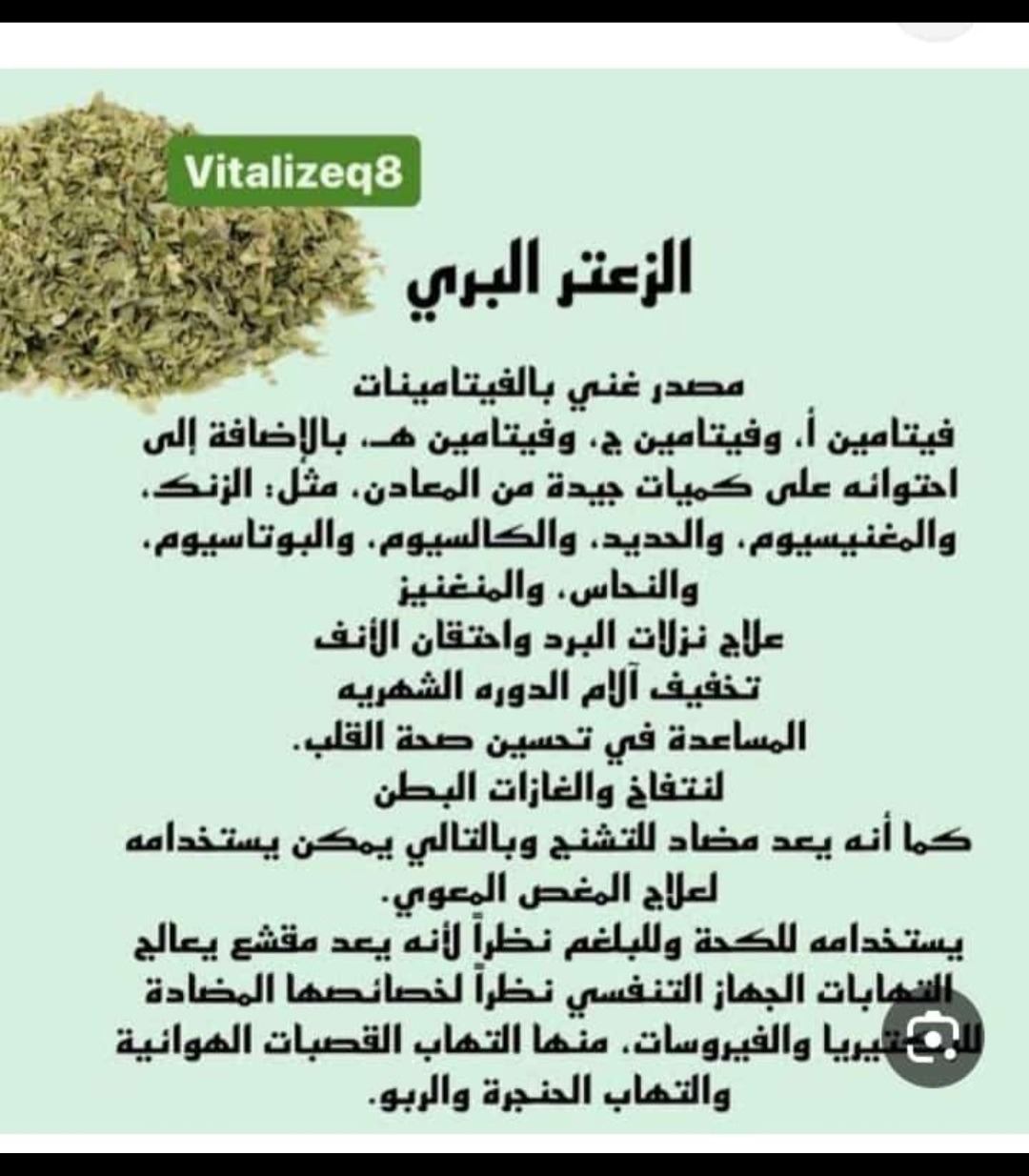 31. زيت الاوريجانو(الزعتر البرى) - الصورة 2