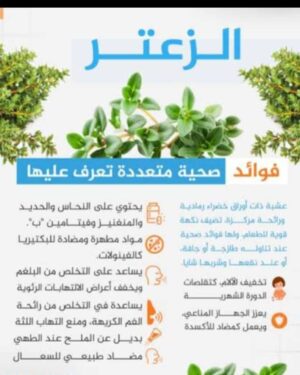 30. زيت الزعتر